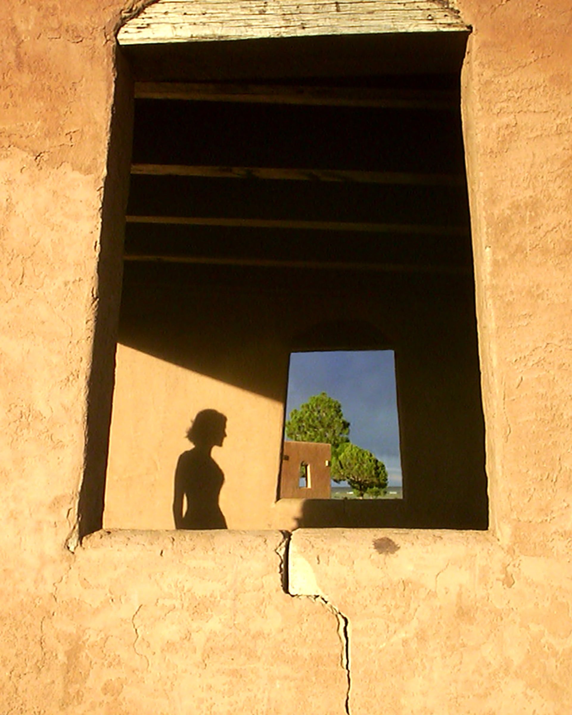 A woman’s shadow on an adobe wall, seen through a window that frames a tree and another window